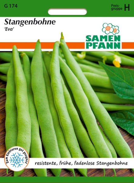 Samen Pfann Stangenbohne Eva, geeignet zum Einfrieren, frühe und resistente Sorte