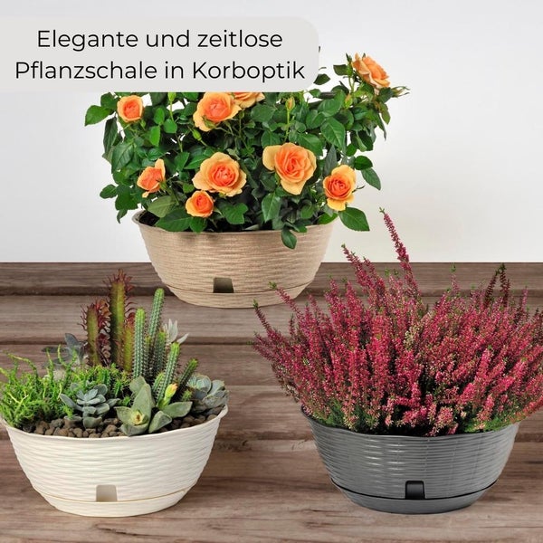 Pflanzschale Blumenschale Untersetzer Rattan Optik Kunststoff Friedhof Garten anthrazit 40 cm