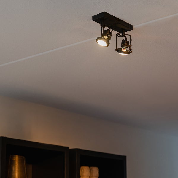 Deckenleuchte mit zwei Strahlern