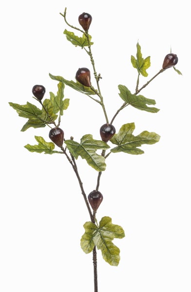 Filigraner, getrockneter Pflanzenstängel mit natürlicher, verzweigter Struktur.