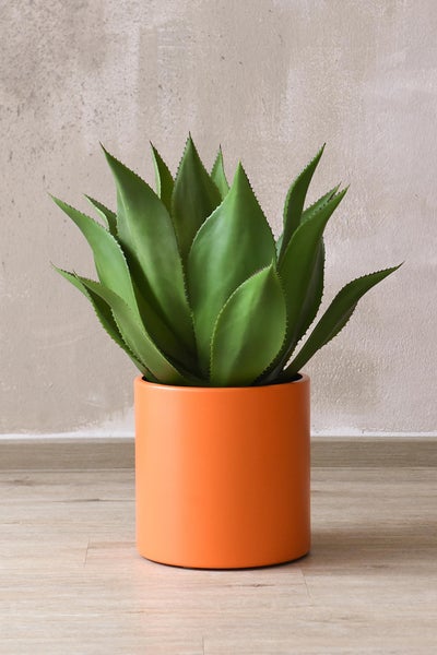 Agave mit spitzen Blättern in einem orangefarbenen zylindrischen Übertopf.
