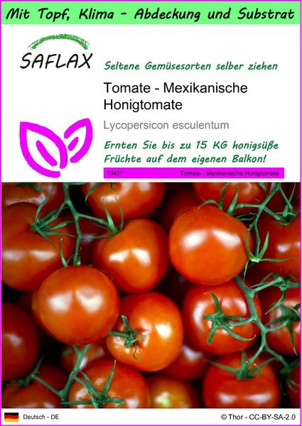 SAFLAX Garden to go - Tomate - Mexikanische Honigtomate - Lycopersicon esculentum - 10 Samen - Mit Topf, Klima - Deckel und Anzuchtsubstrat