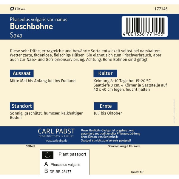 Buschbohne sehr früh & raschwüchsig Saxa Samen von Pabst Keimkraft