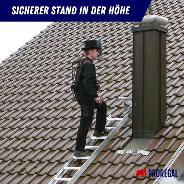 PROREGAL Dachleiter Alu Natur 7 Sprossen