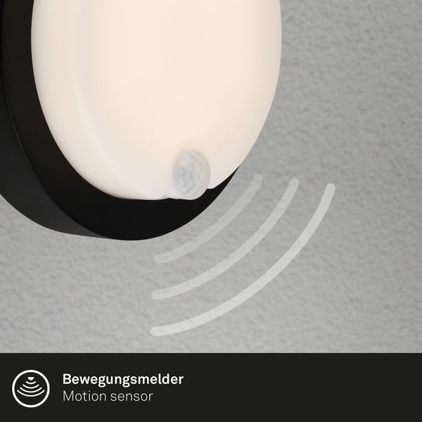 Battery LED Outdoor Wall Light,Sensor,black,LED/4W