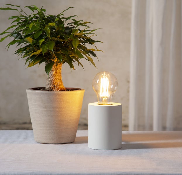 Tischleuchte mit Glühbirne neben Topfpflanze auf einem Tisch.