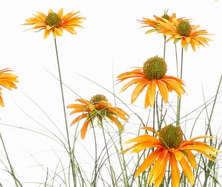 Künstlicher Sonnenhut Echinacea in Orange mit Gräsern.