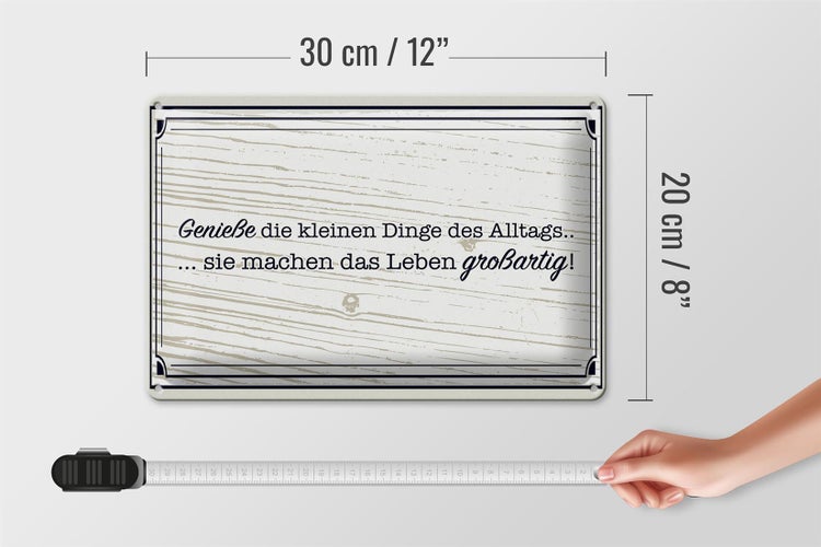 Blechschild Spruch 30x20cm Genieße die kleinen Dinge Alltags