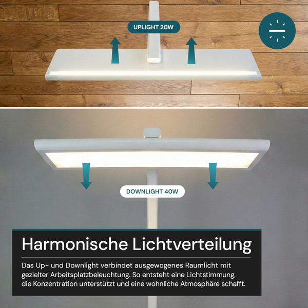 LED-Stehleuchte mit 20 Watt Uplight und 40 Watt Downlight zur harmonischen Lichtverteilung