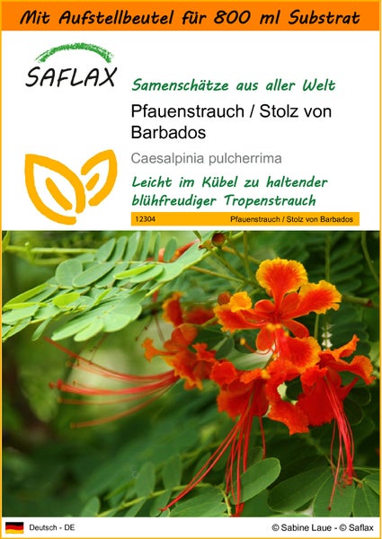 SAFLAX Garden in the bag - Pfauenstrauch / Stolz von Barbados - Caesalpinia pulcherrima - 10 Samen - Mit Anzuchtsubstrat im praktischen, selbst aufstellenden Beutel