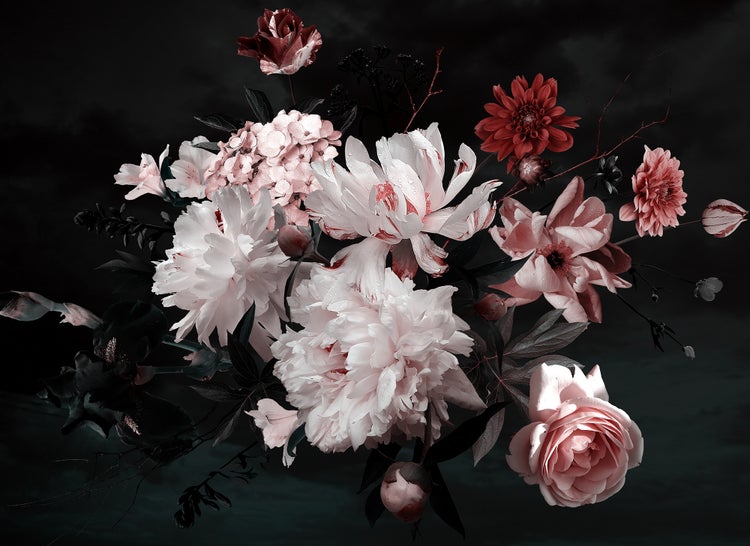 Fototapete mit einem Blumenbouquet aus Pfingstrosen, Rosen und Hortensien in dramatischer Stillleben-Optik.