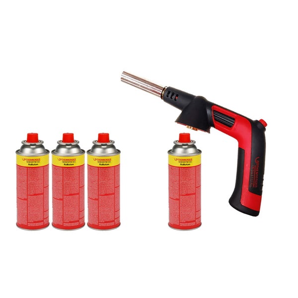 Nahaufnahme eines Triebs der Eibe mit Nadeln