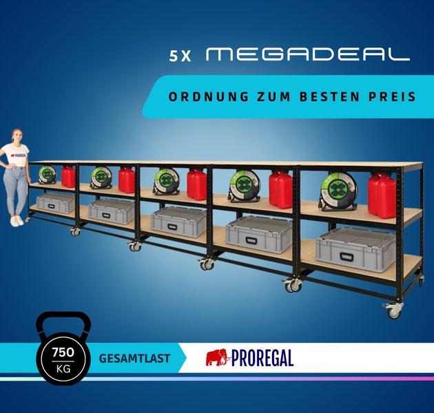 Fünf fahrbare Schwerlastregale mit Metallrahmen und Holzböden auf Rollen. Gesamtbelastbarkeit 750 Kilogramm. ProRegal Logo.