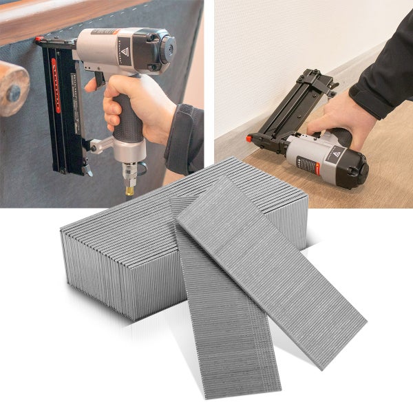 Olivenbaum im Topf, kunstvoll beschnitten