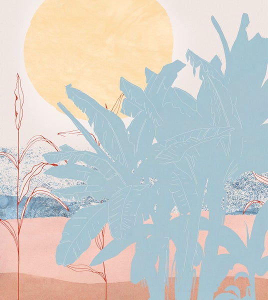 Illustration mit Palmen und Sonne