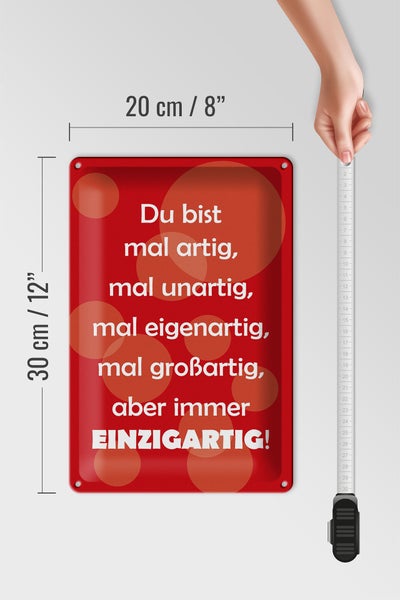 Blechschild Spruch 20x30cm Du bist Einzigartig