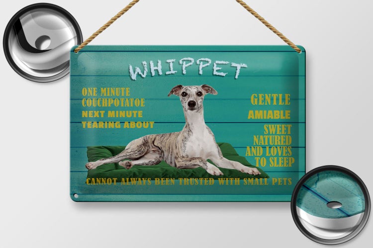 Blechschild Spruch 30x20cm Whippet Hund gentle amiable