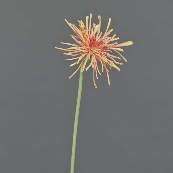 Künstliche Chrysantheme mit lachsfarbenen und gelben schmalen Blütenblättern aus Stoff.