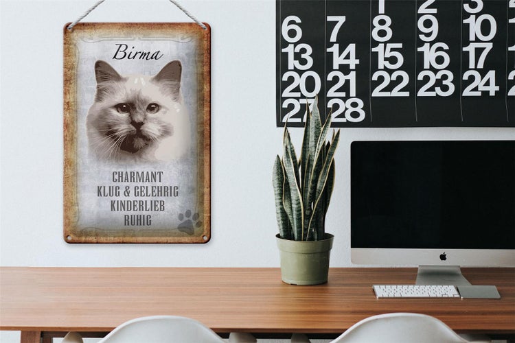 Blechschild Spruch 20x30cm Birma Katze klug Schild