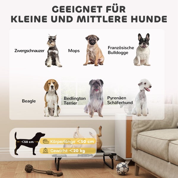 Infografik zur Eignung für kleine und mittlere Hunde wie Beagle. Körperlänge kleiner als 50 Zentimeter und Gewicht unter 20 Kilogramm.