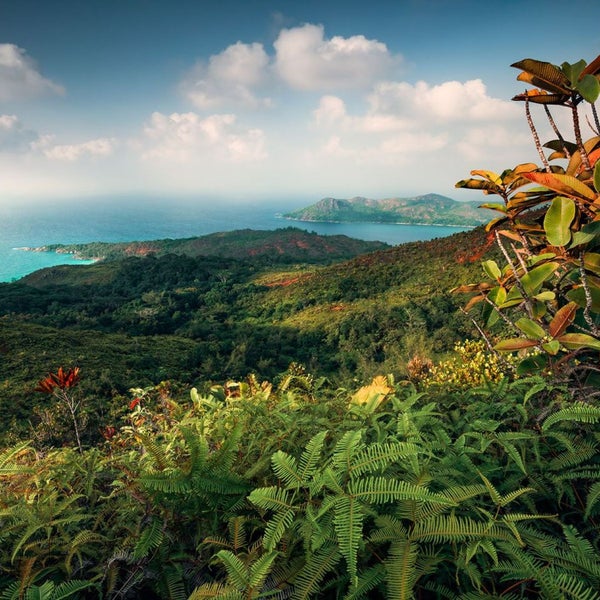 Landschaftsansicht mit tropischer Vegetation, Meer und bewölktem Himmel