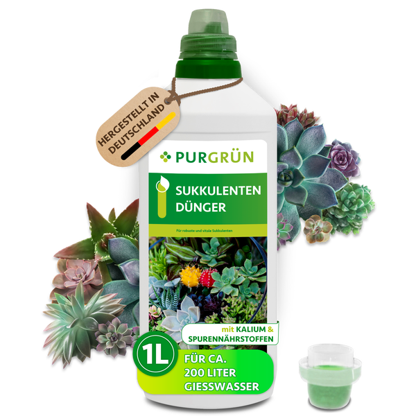Purgrün Sukkulentendünger, 1 Liter, Flüssigdünger mit Kalium und Spurennährstoffen für circa 200 Liter Gießwasser, hergestellt in Deutschland.