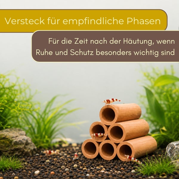 Keramikröhren aus Terrakotta in einem Aquarium mit Garnelen, als Versteck für empfindliche Phasen nach der Häutung.