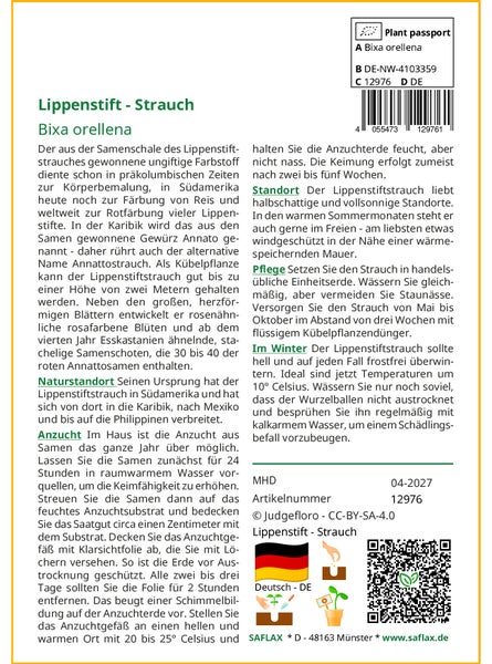 SAFLAX Garden to go - Lippenstift - Strauch - Bixa orellena - 20 Samen - Mit Topf, Klima - Deckel und Anzuchtsubstrat