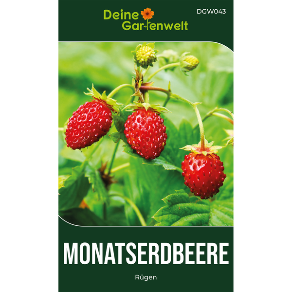 Deine Gartenwelt Logo, Monatserdbeere Rügen, Samentüte mit reifen Walderdbeeren an der Pflanze.