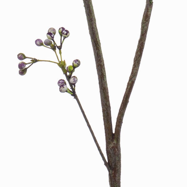 Künstlicher Pflanzenzweig mit kleinen Beeren und strukturierter Oberfläche