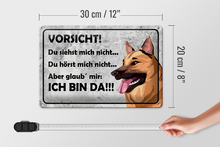 Blechschild Spruch 30x20cm Vorsicht Hund Du siehst mich nicht