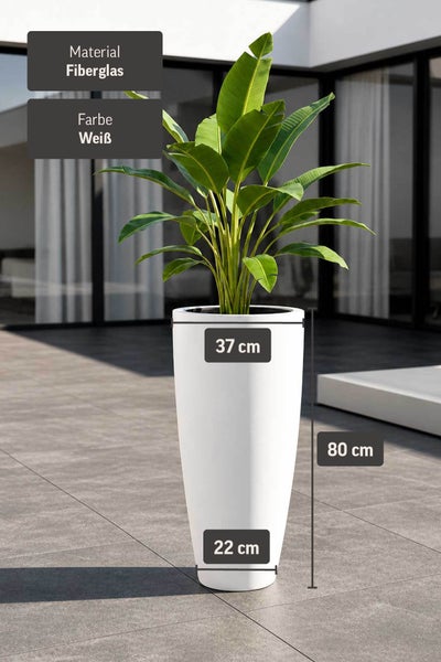 Hoher weißer Pflanzkübel aus Fiberglas mit Pflanze auf einer Terrasse. Maße: 80 Zentimeter Höhe, 37 Zentimeter Durchmesser oben, 22 unten.