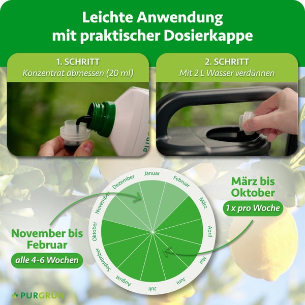 Eine Frau mit Strohhut und Gartenhandschuhen kniet im Garten neben Blumen, bewirbt Purgrün Zitrusdünger mit Nährstoffen von Experten in Deutschland.