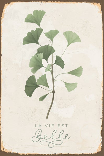 Dekoschild mit Ginkgo-Zweig und dem französischen Schriftzug La Vie Est Belle im Vintage-Stil.