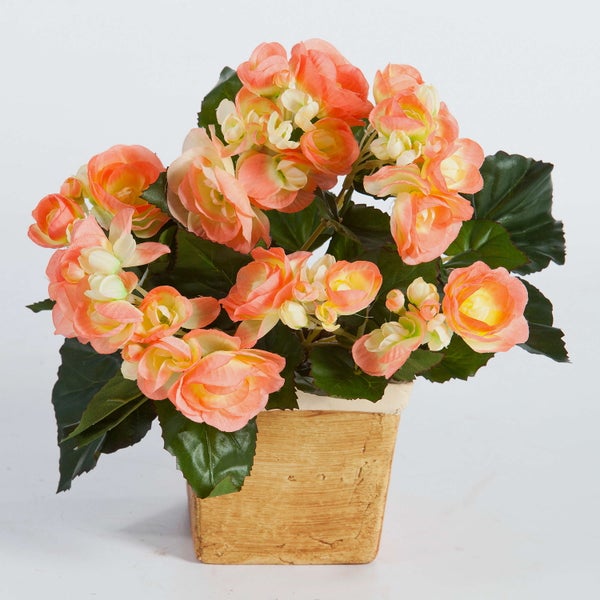 Künstliche Begonie mit lachsfarbenen Blüten und grünen Blättern in einem beigefarbenen, quadratischen Übertopf.