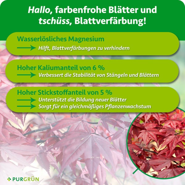 Infografik zu den Wirkstoffen eines Pflanzendüngers von Purgrün mit Informationen zu Magnesium, Kalium und Stickstoff für gesundes Pflanzenwachstum.