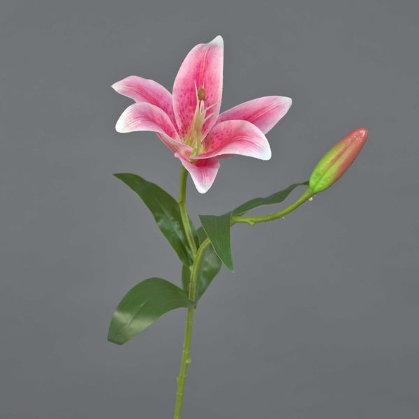 Künstliche Lilie mit einer pink-weißen Blüte, einer Knospe und grünen Blättern.