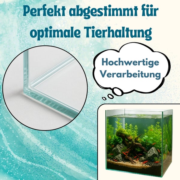 Aquarium mit Glasdetails und Dekoration für optimale Tierhaltung