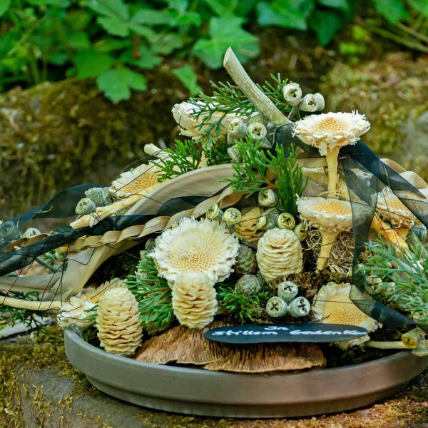 Gesteck mit Trockenblumen, Pilzen, Zapfen und schwarzem Schleierband in einer Schale