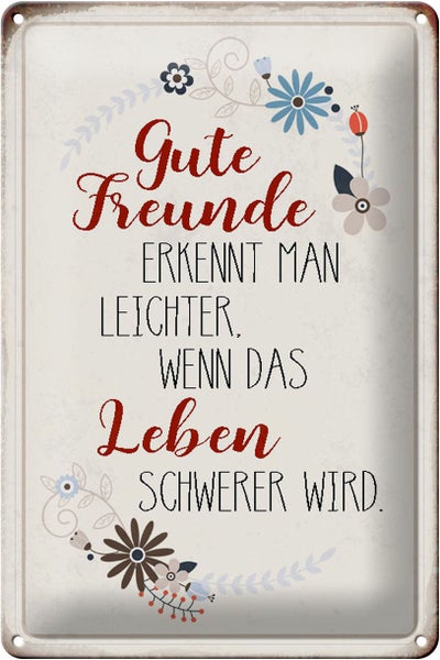 Blechschild Spruch 20x30cm gute Freunde erkennt Schild