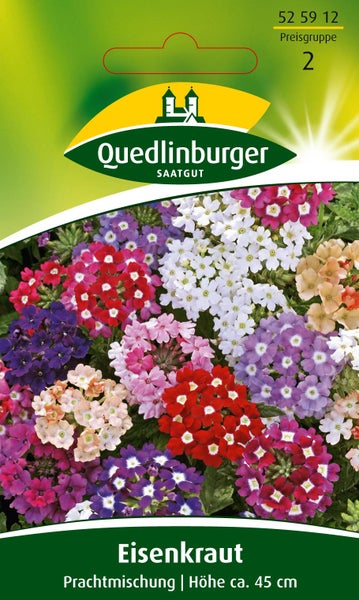 Quedlinburger Saatgut Eisenkraut Prachtmischung, Samen für bunte Verbenen, Wuchshöhe circa 45 Zentimeter.