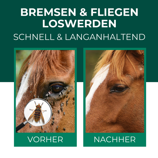 Silberkraft Bremsenspray Pferde 500 ml, effektiver Schutz gegen Bremsen, Fliegen, Stechmücken & Zecken, Bremsen-Ex für Pferd & Reiter, hochwirksames Fliegenspray & Insektenabwehr für Stall & Weide