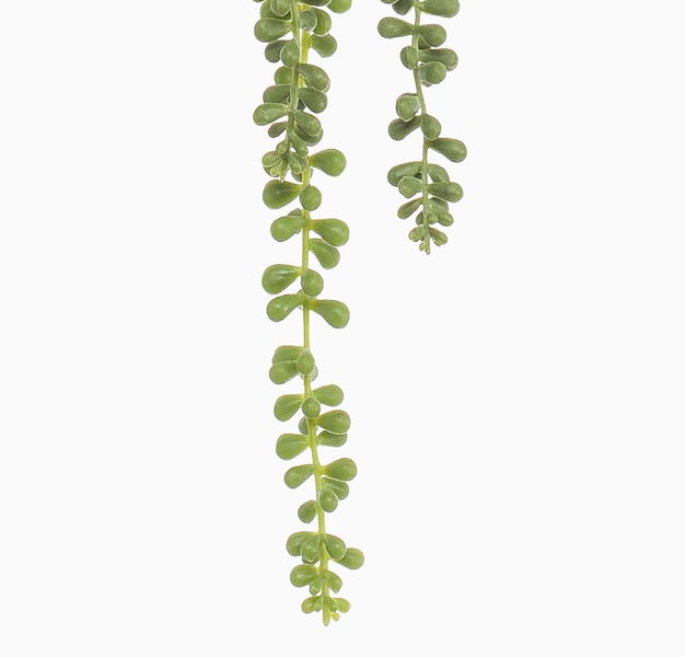 Künstliche Hängepflanze Erbsenpflanze aus Kunststoff in Grün