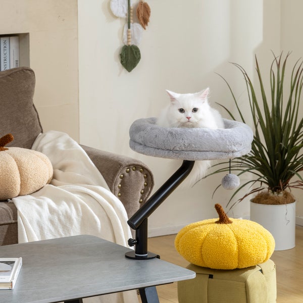 Wohnzimmer mit Katzenbaum, Dekokissen und Zimmerpflanze