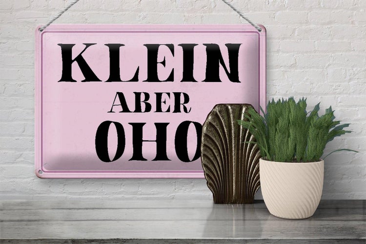 Blechschild Spruch 30x20cm klein aber Oho Schild