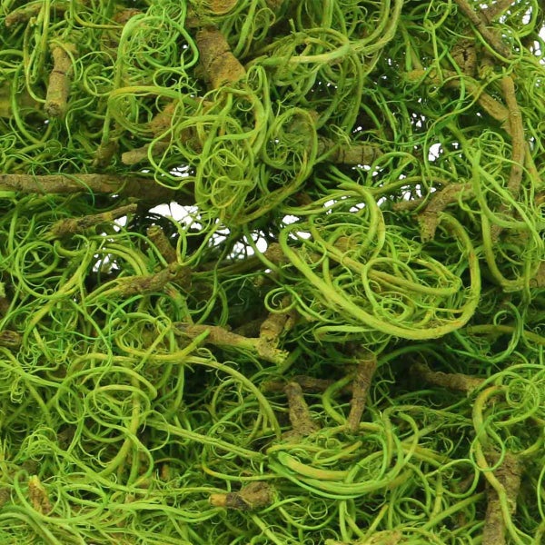 Nahaufnahme von lockigem Naturholzmaterial für Dekoration und Bastelarbeiten.