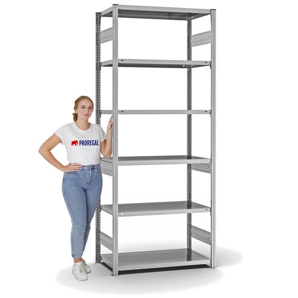 PROREGAL Fachbodenregal Stecksystem T-Profil Medium-Duty Grundregal HxBxT 250 x 100 x 50 cm 6 Ebenen Fachlast 230 kg Beidseitig Nutzbar Verzinkt