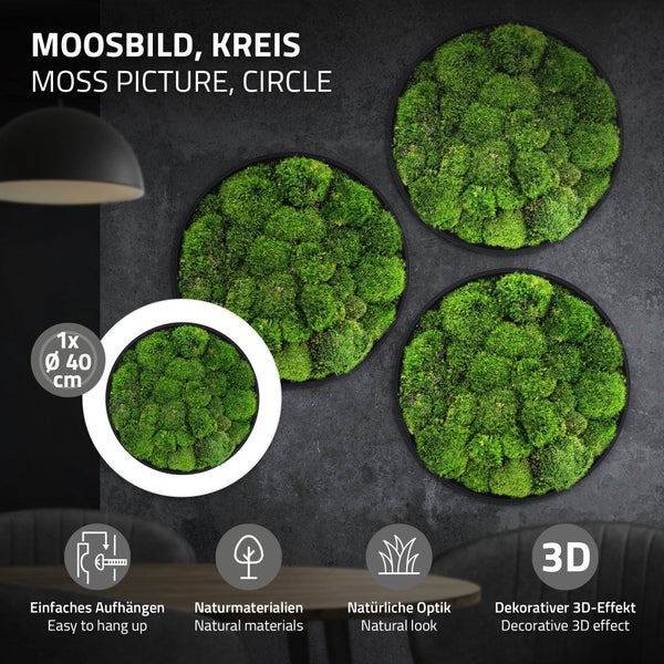 Rundes Moosbild mit natürlichem Moos in 40 Zentimeter Durchmesser für eine dekorative Wandgestaltung mit dreidimensionalem Effekt.