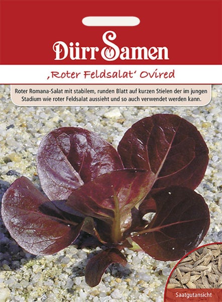 Dürr Samen Logo auf einer Samentüte für Roten Feldsalat Ovired mit Abbildung einer jungen Pflanze mit dunklen Blättern und Saatgutansicht.