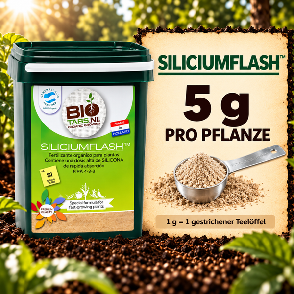 BioTabs SiliciumFlash organischer Pflanzendünger im Eimer mit Messlöffel zur Dosierung von 5 Gramm pro Pflanze.